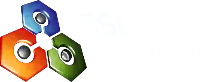 GSI Informatique Logo